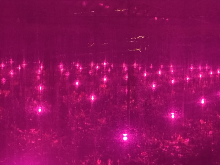 image_50376705 image_50376705