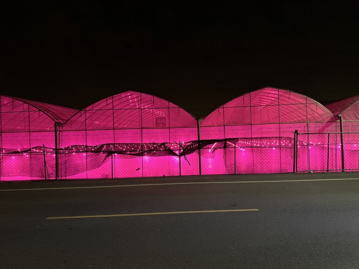 image_50401025 image_50401025