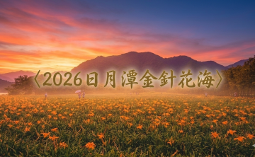 2026日月潭金針花海