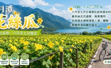 日月潭頭社絲瓜花季