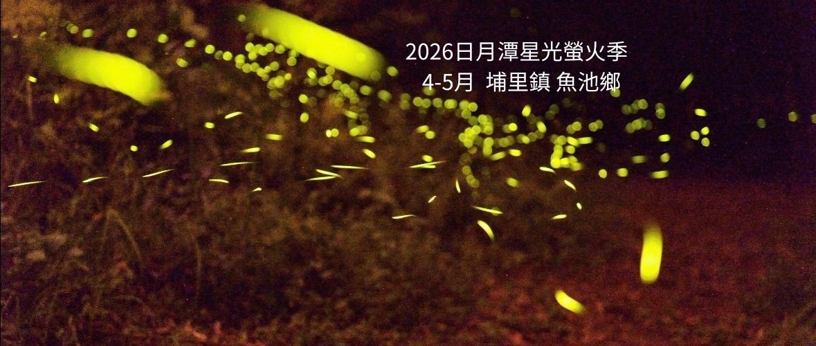 2026日月潭星光螢火季