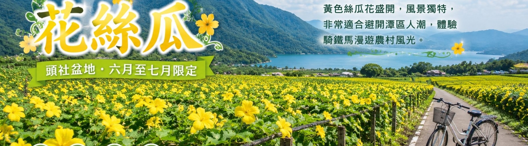 日月潭絲瓜花季
