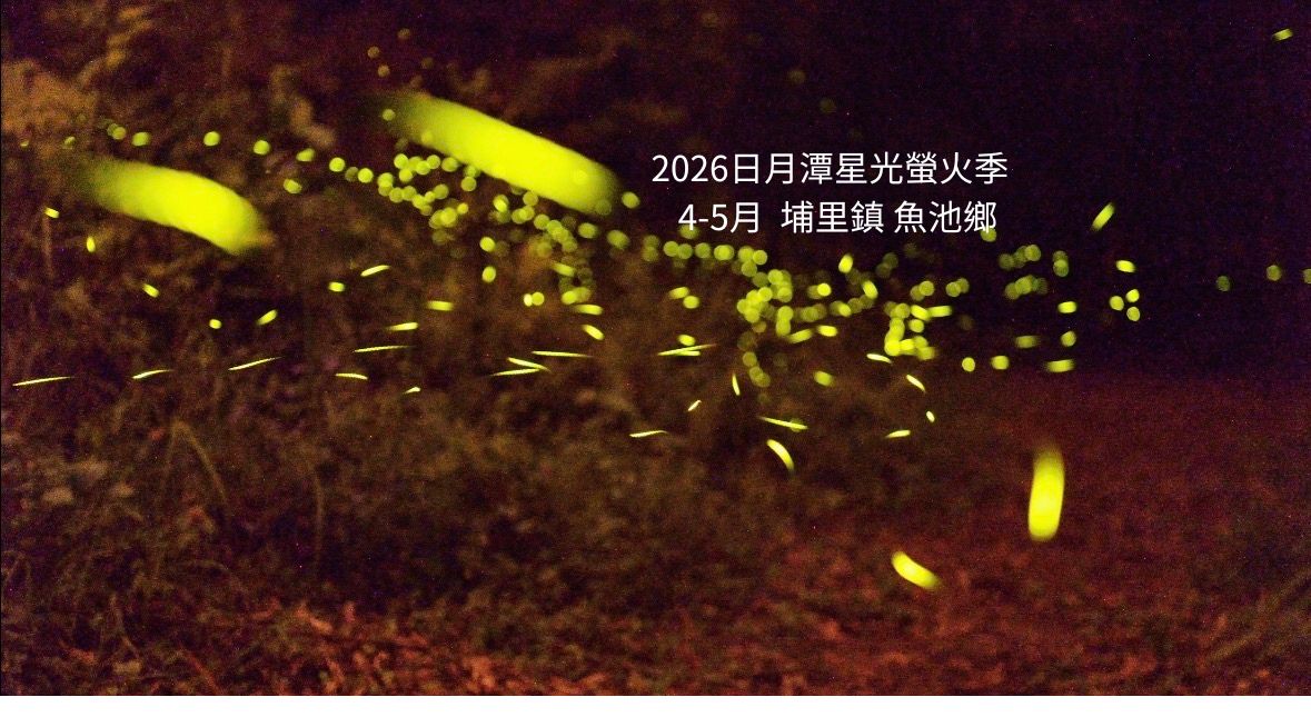 2026日月潭星光螢火季