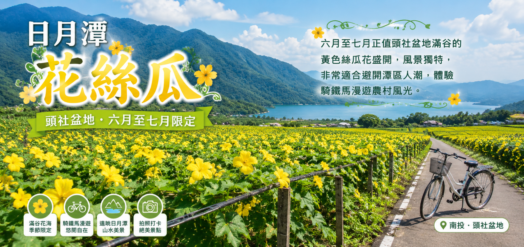 日月潭絲瓜花季