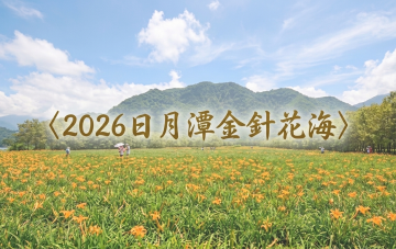 2026日月潭金針花海