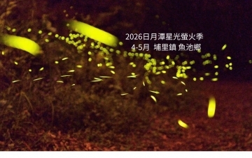2026日月潭星光螢火季
